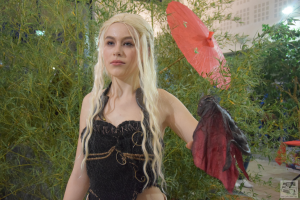 Manga sur Loire 2019