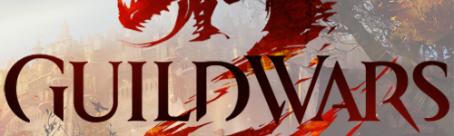 Bannière Guild Wars 2