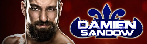 Bannière Damien Shadow
