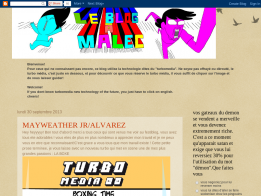 GBA2013 - Capture leblogamalec