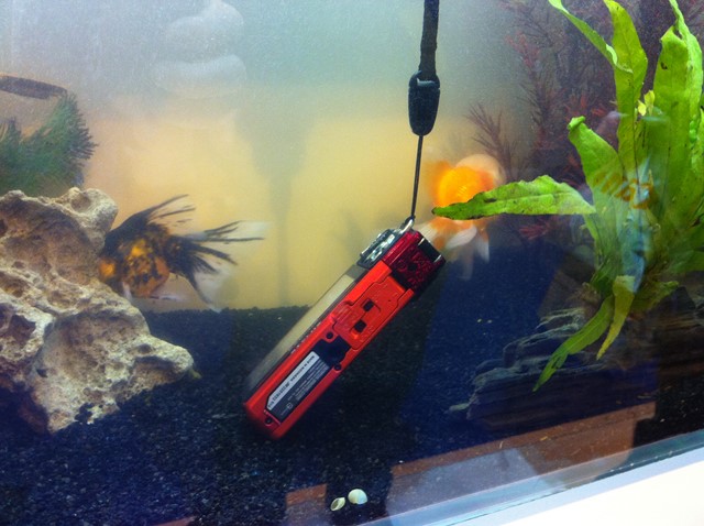 Salon de la Photo 2013