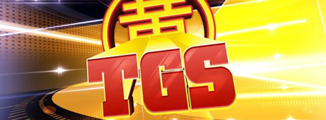 Bannière Toulouse Game Show 2014