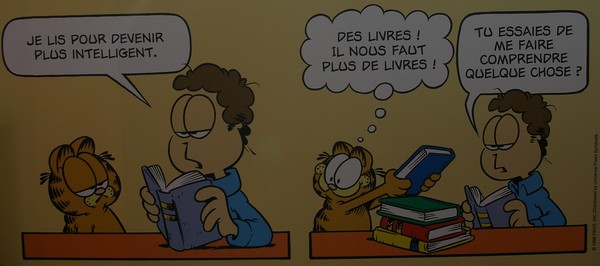 Salon du Livre de PARIS 2014 - Garfield