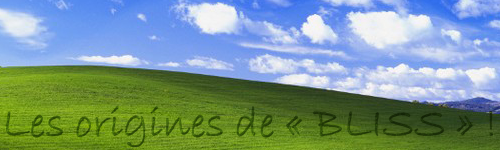 Bannière BLISS : Les origines du plus célèbre des fonds d'écran