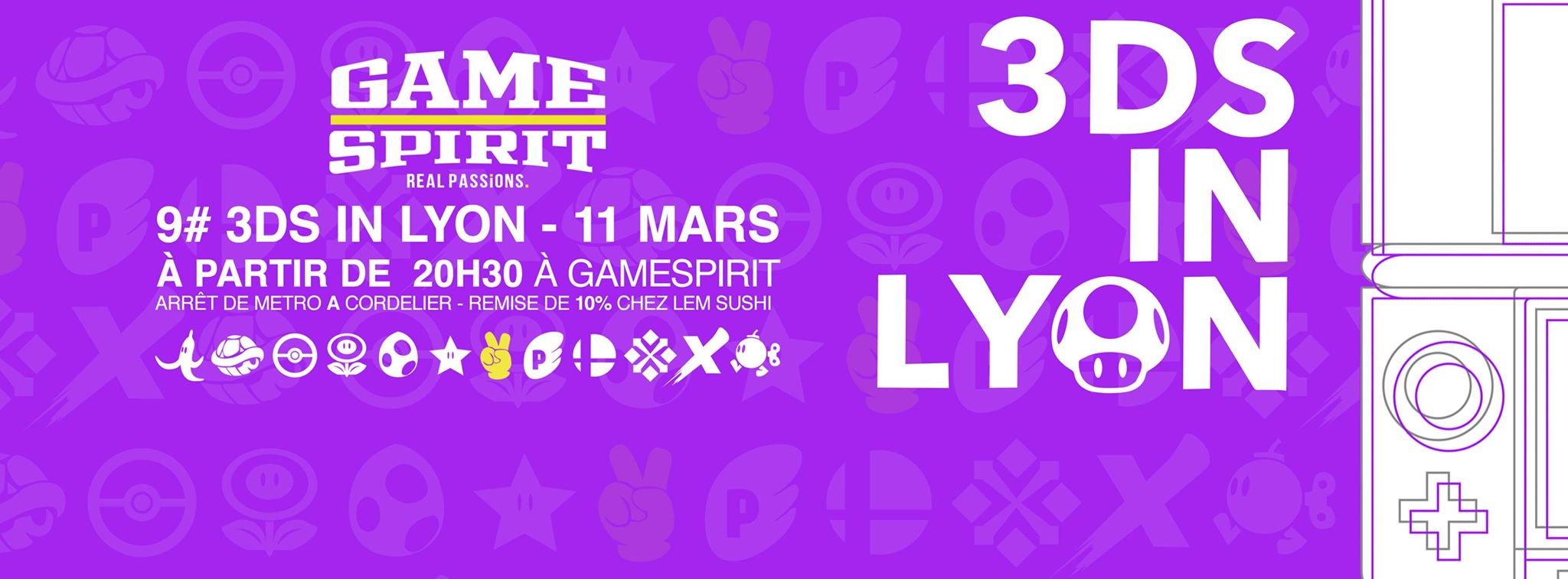 3DS in Lyon #9