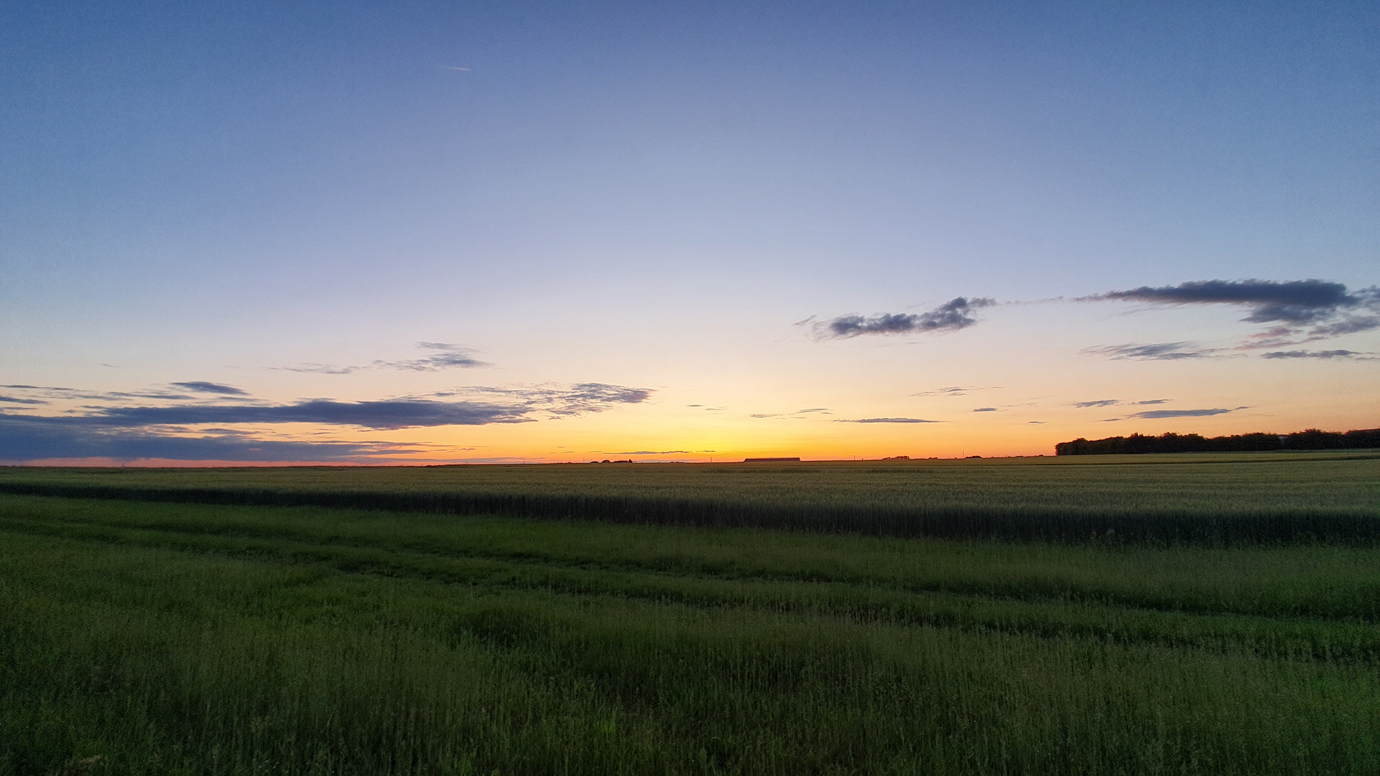 Samsung Galaxy S10 : Paysage