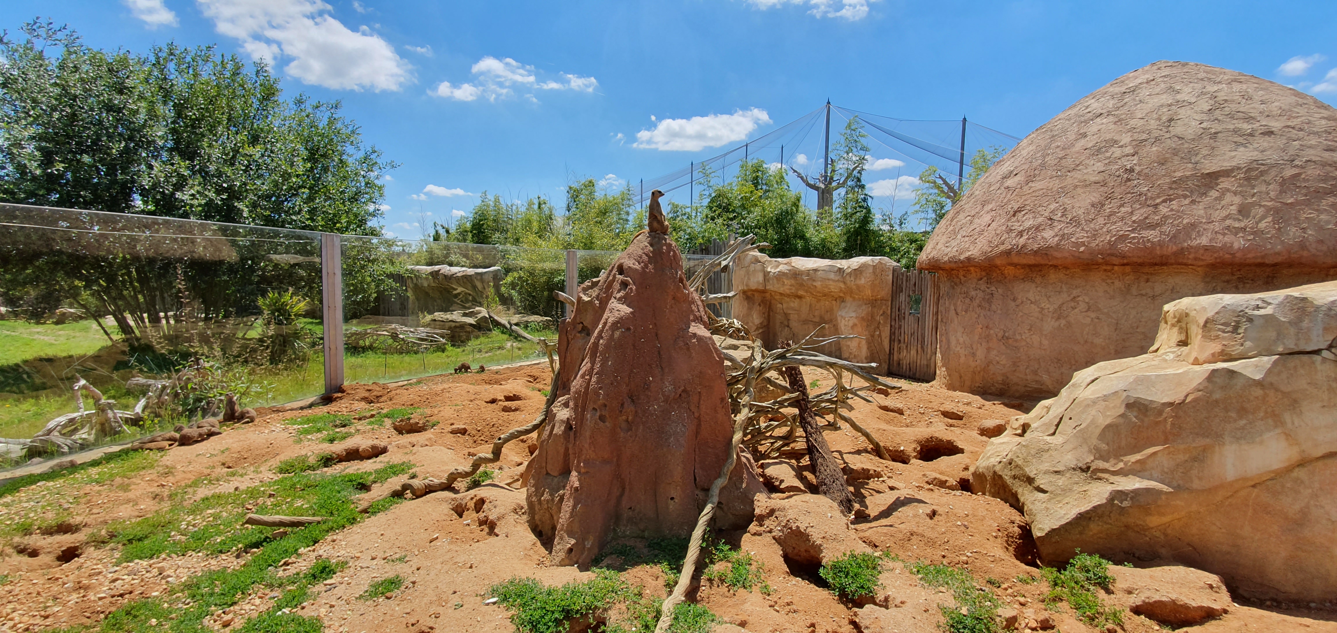 Samsung Galaxy S10 : ZOO de Beauval (41)