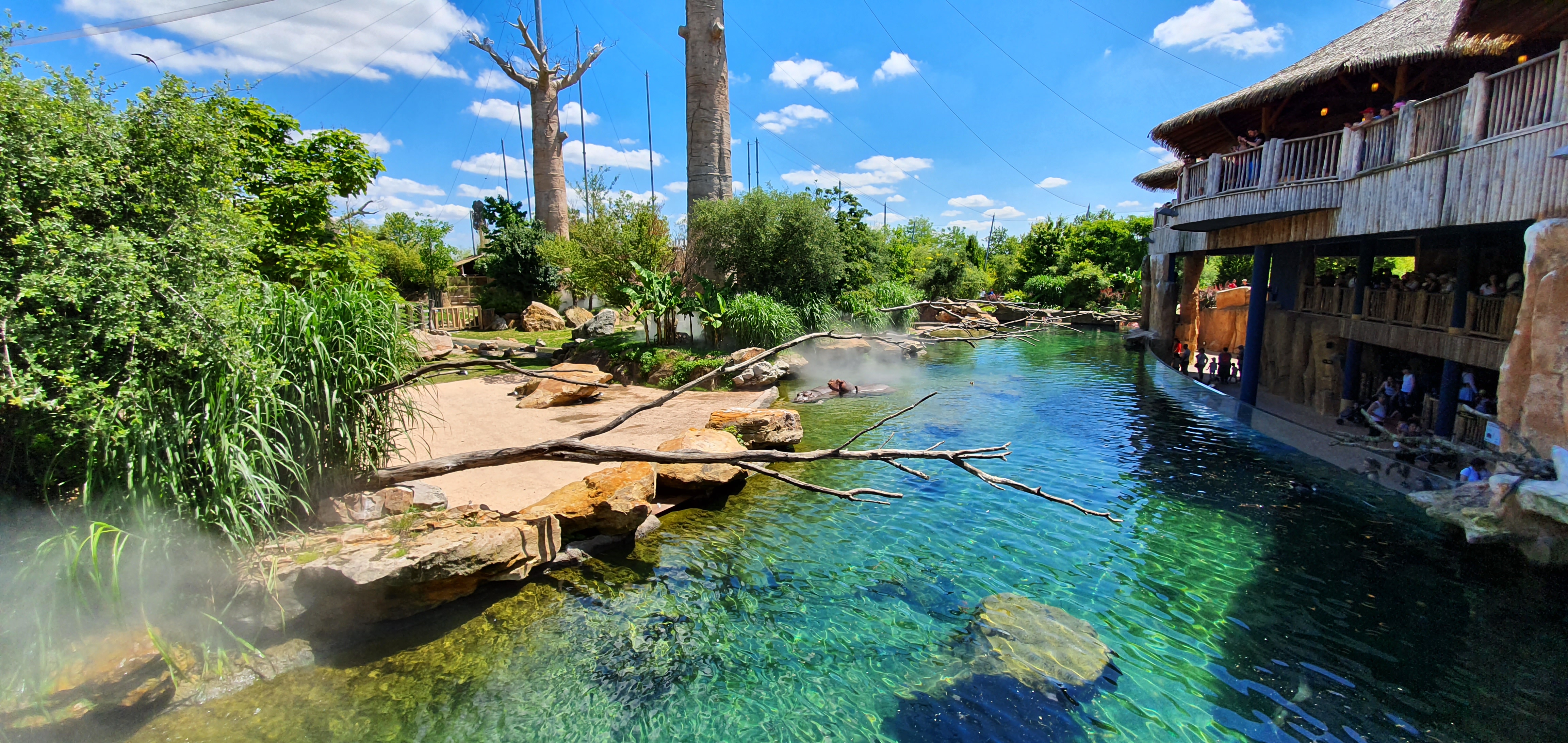 Samsung Galaxy S10 : ZOO de Beauval (41)