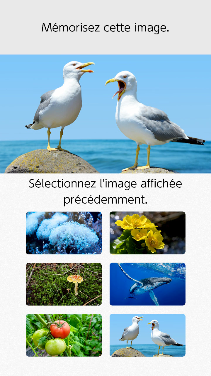 Programme d'entraînement cérébral du Dr Kawashima : Capture