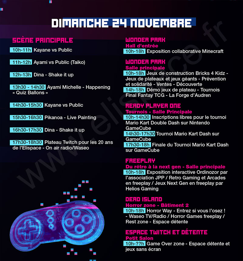 Festival de jeux vidéo "Du rétro à la Next Gen" #1 : Programme du Dimanche