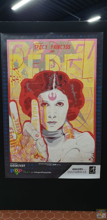 Angers Geekfest #3 - Affiche RedApe